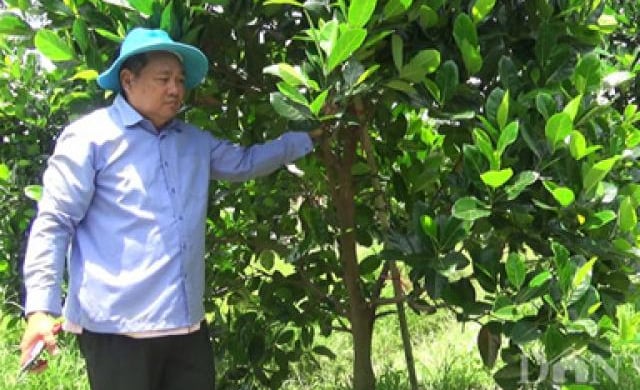 “Tự hào Nông dân Việt Nam 2019”: 6 điểm nhấn ấn tượng, hấp dẫn