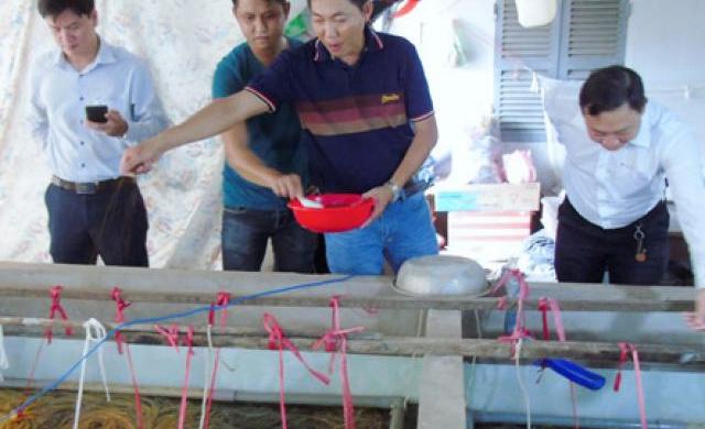 Tự hào Nông dân Việt Nam: Tôn vinh nông dân xuất sắc, sáng tạo
