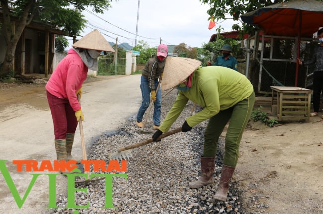 Nông thôn mới Sơn La: Lan tỏa phong trào chung sức xây dựng nông thôn mới 