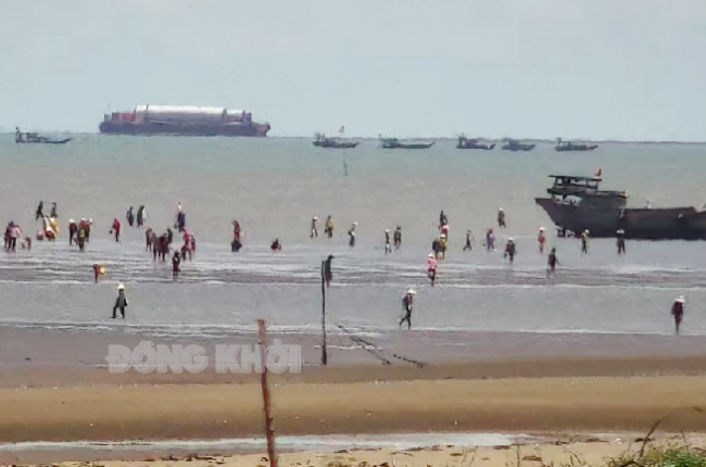 Dân xã này của tỉnh Bến Tre ra bãi biển bắt con gì đem bán, chỉ trong tháng 11 đã thu về hơn 27 tỷ?