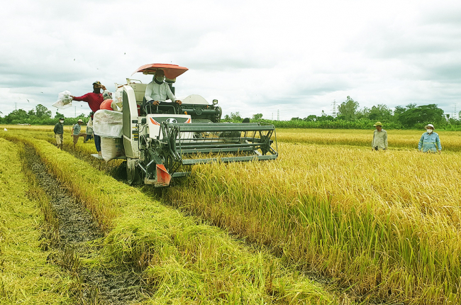 Đồng bằng sông Cửu Long cần sàn giao dịch nông sản  