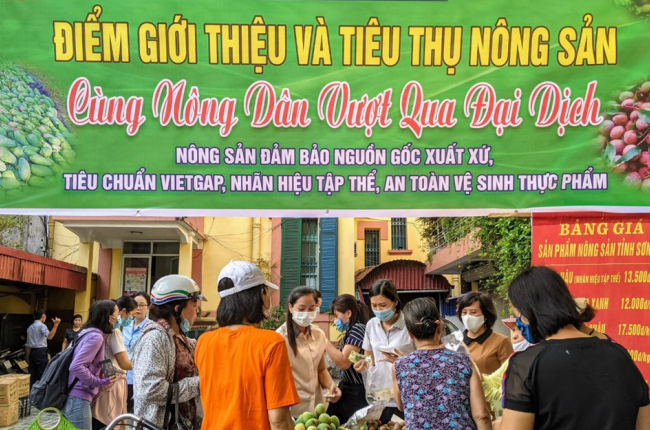 15 tấn nông sản Sơn La được Hải Phòng hỗ trợ tiêu thụ không lợi nhuận