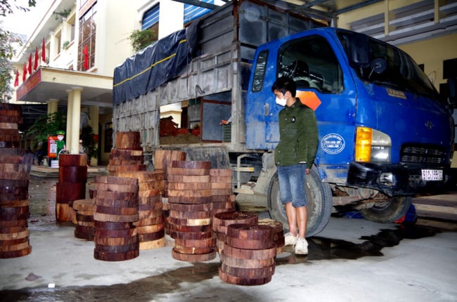 Bắt giữ ô tô chở gần 300 khúc gỗ nghiến trái phép được ngụy trang tinh vi