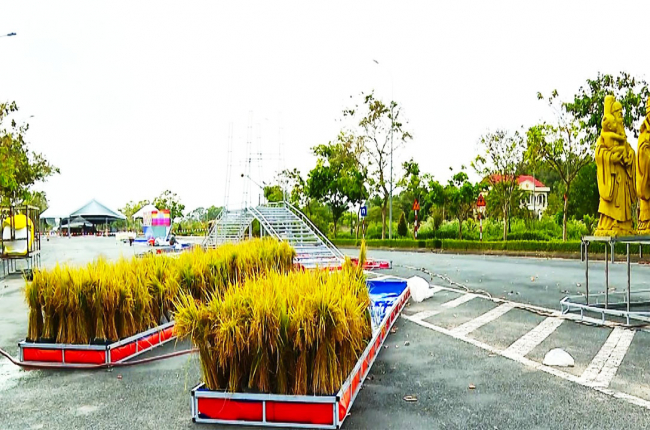 Festival lúa gạo Việt Nam lần thứ V sẽ tổ chức thi để chọn ra loại gạo ngon nhất nước