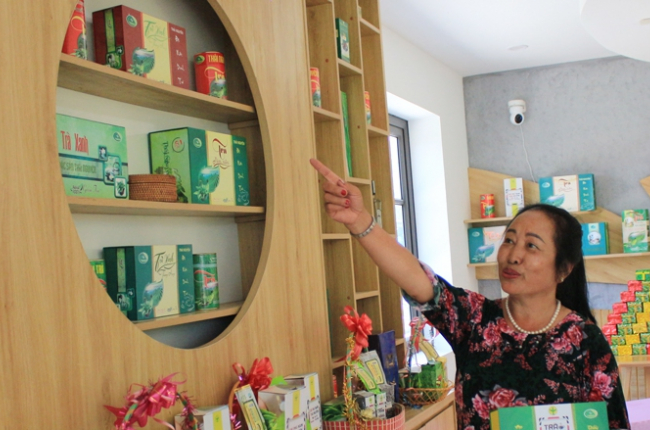 Chè Phú Đô từ “bám rễ” đến “lên hương”