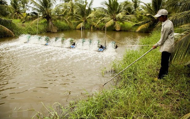 Hạn mặn tác động đến phát triển kinh tế và doanh nghiệp ĐBSCL