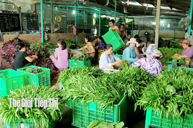 Làm nông nghiệp công nghệ cao, HTX lao đao vì khó xây công trình phụ