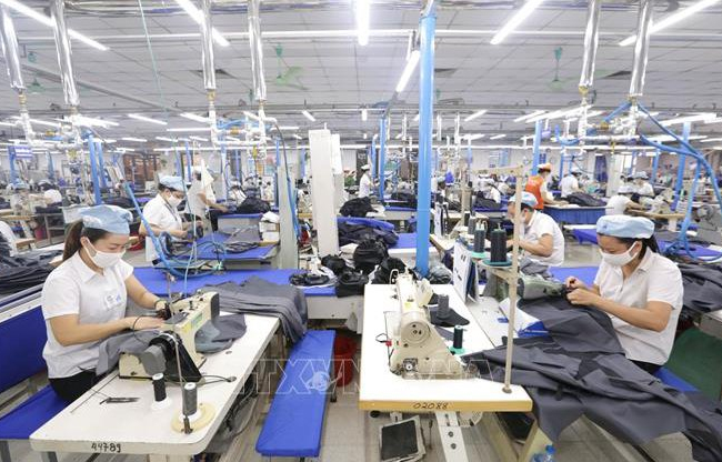 Bắt kịp xu hướng để gia tăng xuất khẩu vào EU