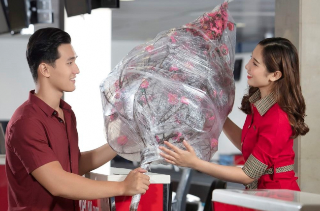 Vận chuyển mai, đào Tết 2023 qua đường hàng không