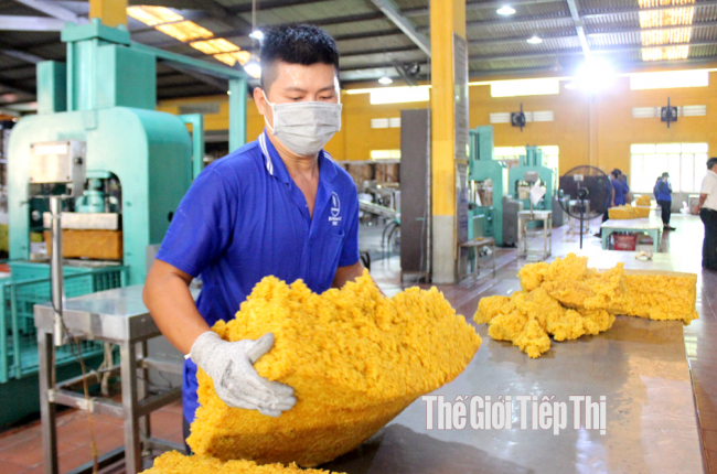 Bí quyết giúp Tập đoàn cao su vượt khó, đạt doanh thu hàng ngàn tỷ đồng
