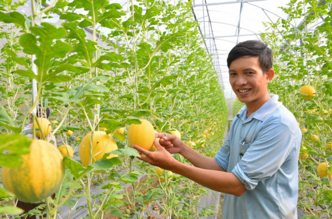 Lợi ích kép từ phát triển du lịch nông thôn gắn với nông thôn mới 
