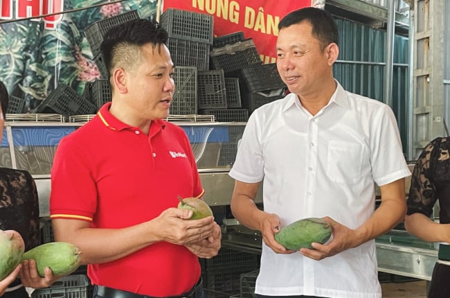 500 tấn xoài, 500 tấn mận hậu Sơn La sẽ được WinCommerce thu mua, tiêu thụ tại hơn 3.000 siêu thị 