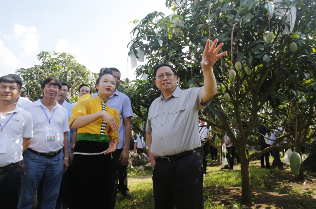 Thủ tướng Phạm Minh Chính: Sơn La thực hiện đồng bộ 5 giải pháp để đưa nông sản cất cánh