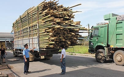 Mức phạt chở hàng quá khổ mới nhất năm 2022 mà người dân cần biết