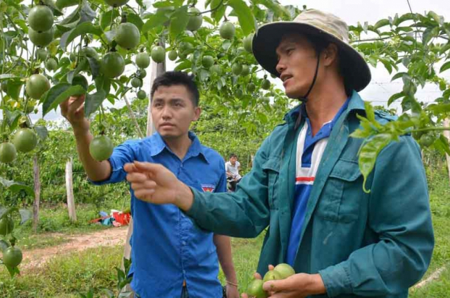 Năm 2025 sẽ có trên 20% sản phẩm nông nghiệp ứng dụng công nghệ cao