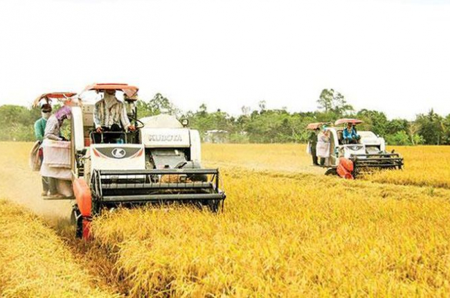 Hợp lực bảo vệ các vựa lương thực thế giới