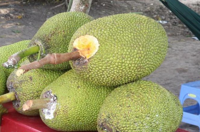 Giá mít Thái tăng trở lại