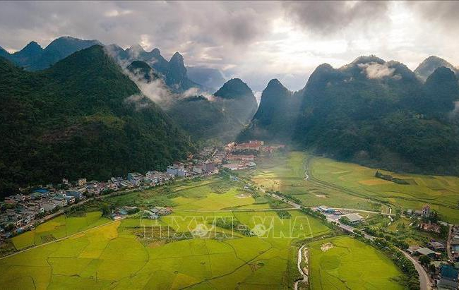 'Dải lụa vàng' ở thung lũng Mường Khương 