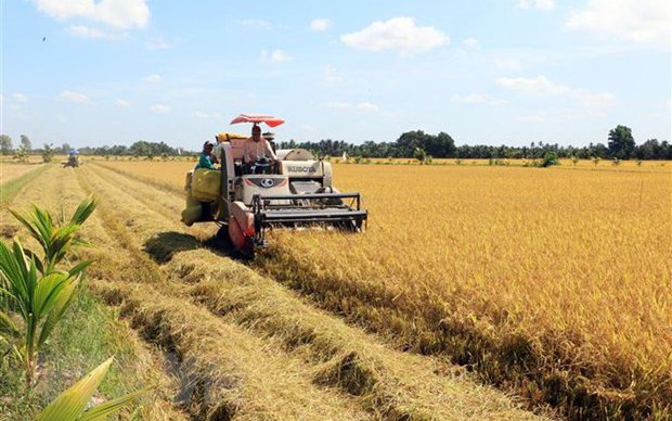 Nhân rộng lan tỏa hình ảnh người nông dân chuyên nghiệp, văn minh