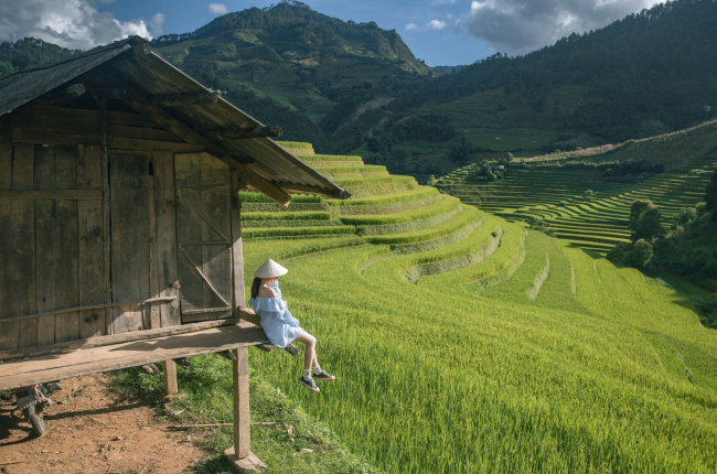 Mù Cang Chải mùa lúa chín