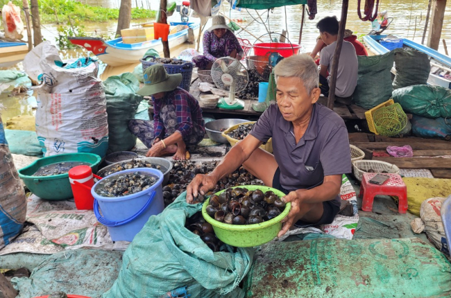 
Đánh bắt đồng xa mùa nước nổi