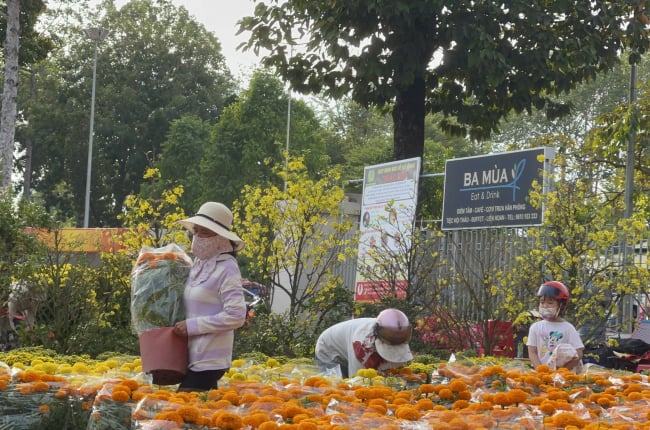 Chiều cuối năm, hoa kiểng hạ giá mạnh