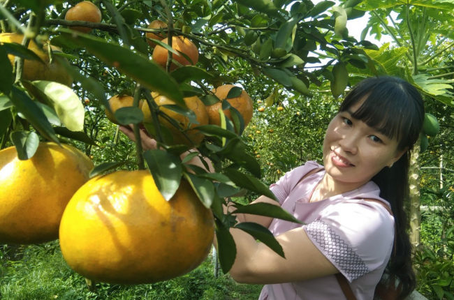 Khai mạc Lễ hội quýt hồng Lai Vung