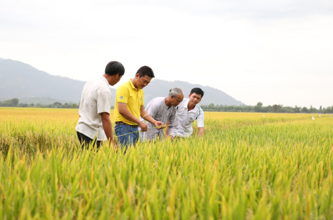 Phân bón Cà Mau được vinh danh 'Doanh nghiệp tiêu biểu vì người lao động' năm 2023