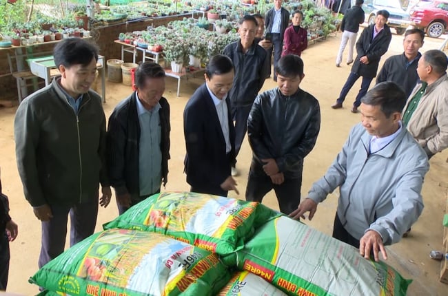 Hội Nông dân tỉnh Sơn La hỗ trợ hội viên 45 tấn phân bón phục vụ sản xuất