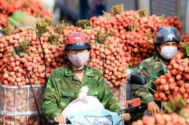 Bộ trưởng Nguyễn Hồng Diên: Sớm 'đoạn tuyệt' xuất khẩu tiểu ngạch sang Trung Quốc   