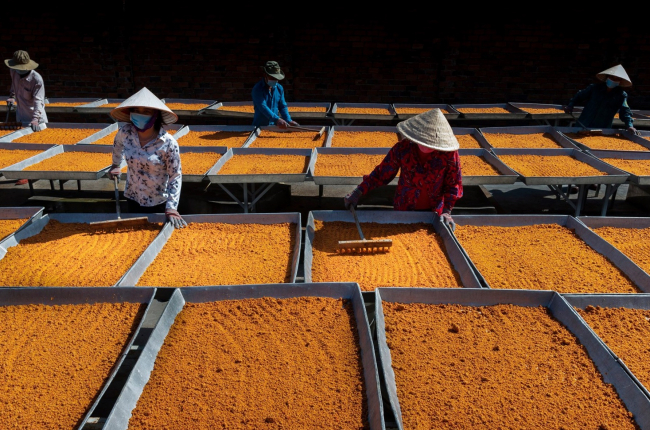 Nghề làm muối ớt Tây Ninh là di sản quốc gia 