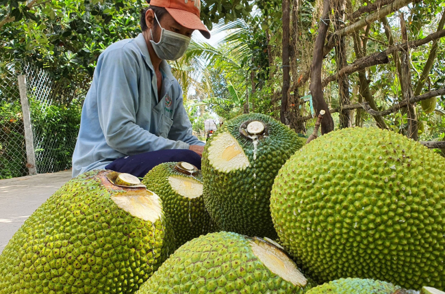 Nhiều loại nông - thủy sản được giá