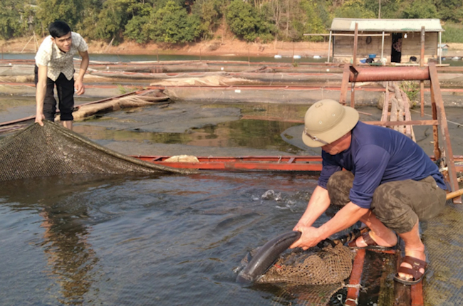 Sơn La: Phát triển thủy sản tập trung, bền vững