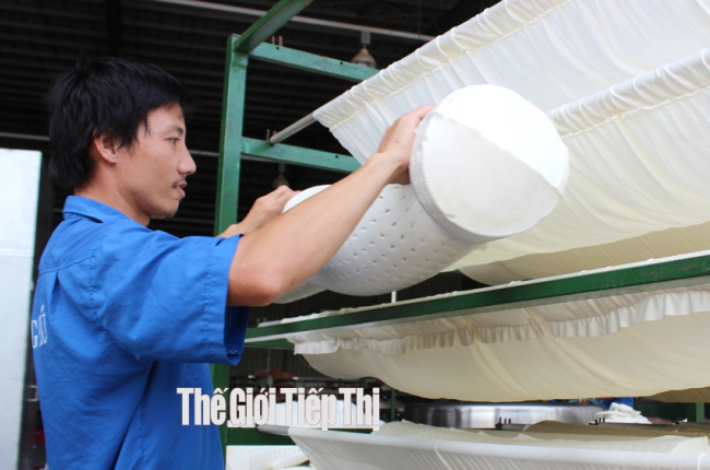 Nâng cấp nhãn hiệu Cao su Việt Nam thành thương hiệu nông sản quốc gia