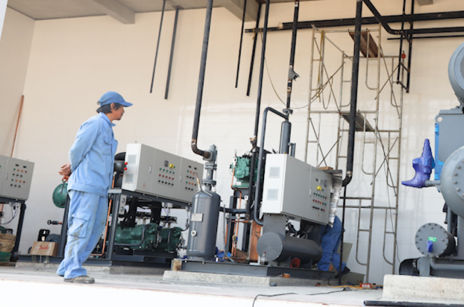 Doveco Sơn La: Nâng tầm giá trị nông sản vùng cao