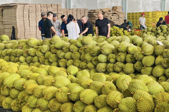 Sầu riêng, măng cụt, thanh long... đổ về cửa khẩu Lạng Sơn, Thủ tướng yêu cầu cấp bách ngăn ùn ứ giữa nắng nóng