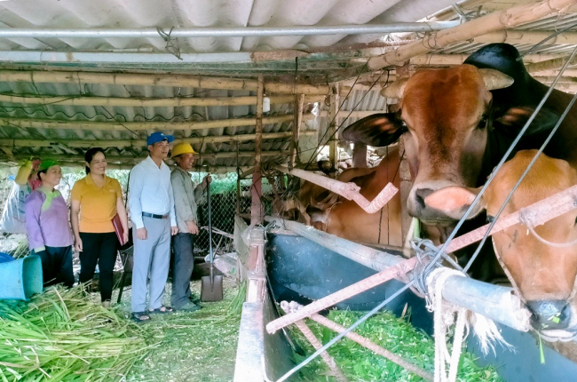 Chủ tịch Hội nông dân huyện Tân Uyên: Tăng cường kiểm tra, hướng dẫn, đảm bảo nguồn vốn phát huy hiệu quả