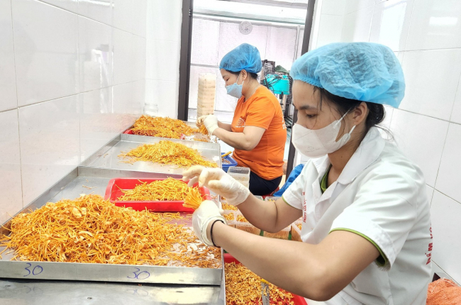 Lai Châu chú trọng phát triển nông nghiệp hàng hóa tập trung