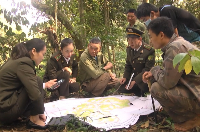 Sơn La: Đẩy mạnh tuyên truyền bảo vệ rừng, phòng cháy, chữa cháy rừng