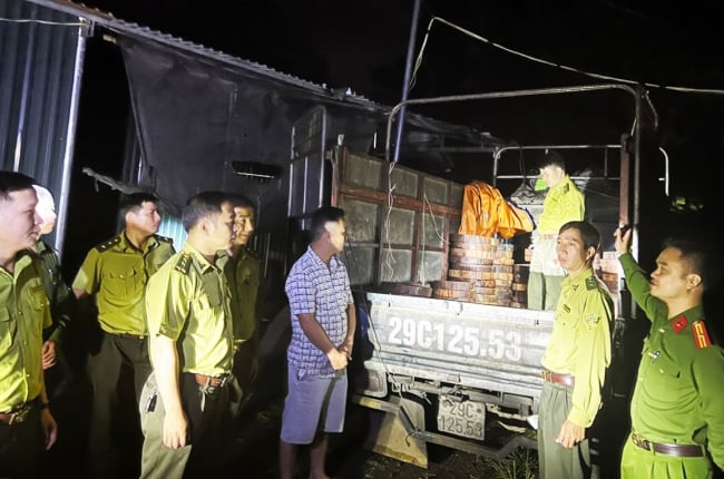 Mật phục bắt xe vận chuyển gỗ nghiến trái phép ở Hà Giang