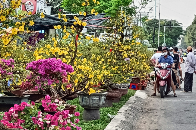 Sắp có lịch nghỉ Tết Dương lịch 2024?