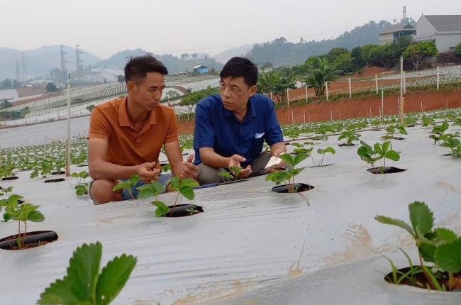 OCOP Sơn La - Đánh thức tiềm năng, gia tăng tiềm lực