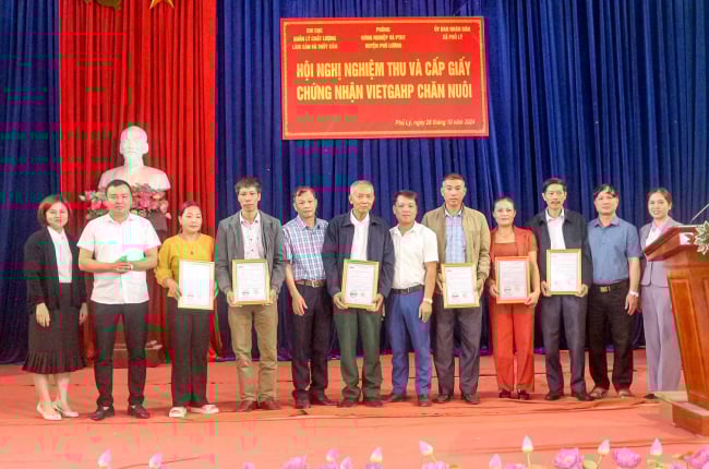 Thái Nguyên: Cấp giấy chứng nhận đạt tiêu chuẩn VietGAHP cho 6 cơ sở chăn nuôi huyện Phú Lương