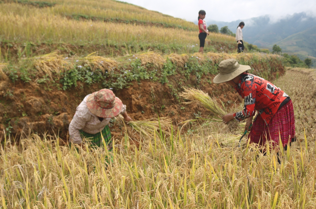 Nỗ lực giảm nghèo ở vùng dân tộc thiểu số Sơn La