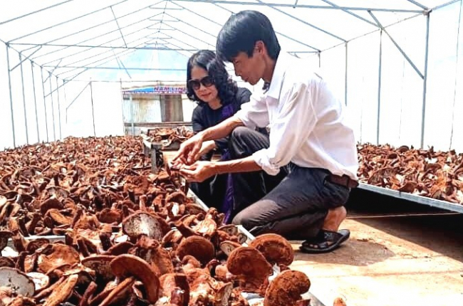 Đào tạo nghề và truyền nghề cho lao động nông thôn gắn với các nghề, làng nghề truyền thống