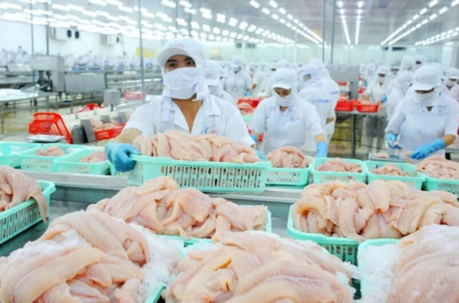 Cá tra Việt Nam thêm 1 đối thủ trên bàn ăn Trung Quốc