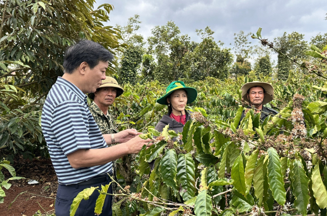 Nông dân canh tác cà phê tại Tây Nguyên được trao bảo hiểm Sức khỏe toàn diện