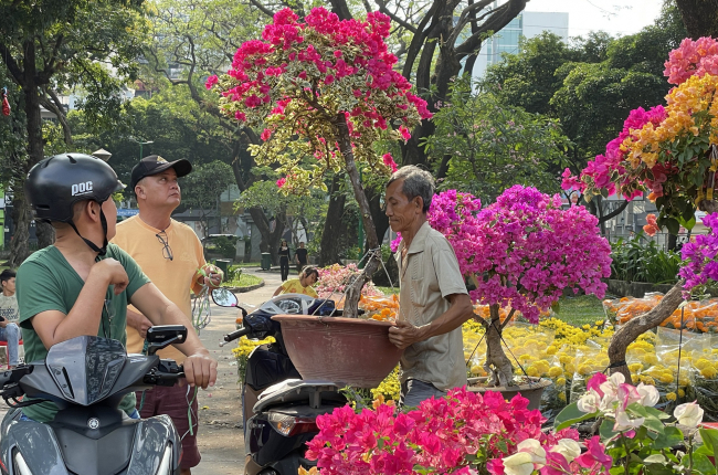 Nhà vườn, thương lái xả hàng bán giá tượng trưng trưa 30 Tết, khách TP.HCM chở cả xe hoa về nhà