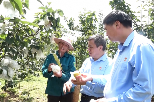 Thực hiện có hiệu quả các phong trào nông dân ở huyện vùng cao Yên Châu