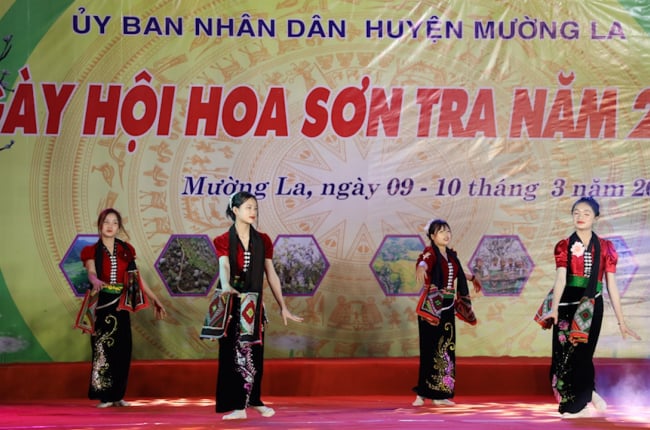 Ngọc Chiến xác lập kỷ lục xã có rừng hoa sơn tra lớn nhất Việt Nam 